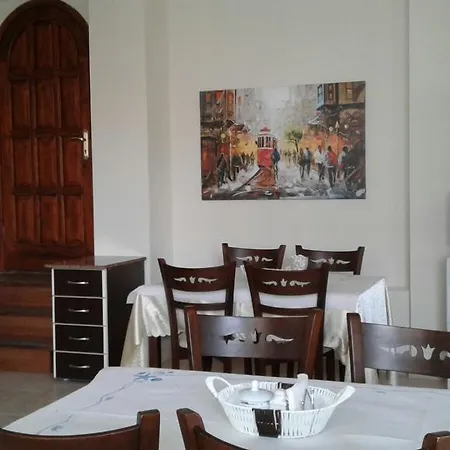 فندق Gelibolu Hotel 3*